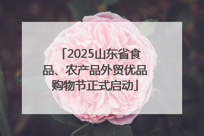 2025山东省食品、农产品外贸优品购物节正式启动