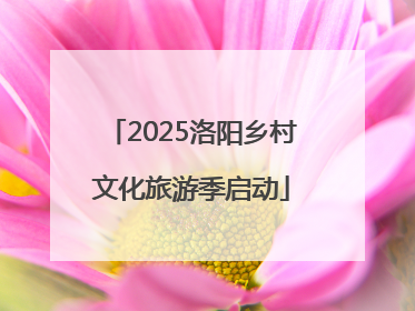 2025洛阳乡村文化旅游季启动