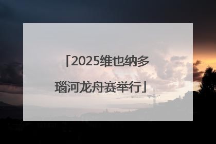 2025维也纳多瑙河龙舟赛举行