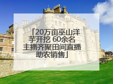 20万亩巫山洋芋开挖 60余名主播齐聚田间直播助农销售