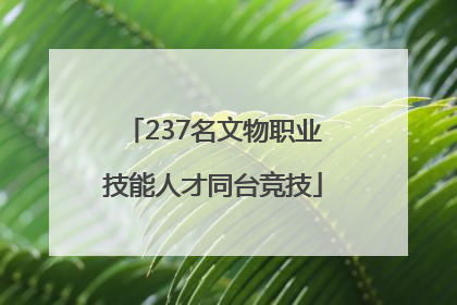 237名文物职业技能人才同台竞技