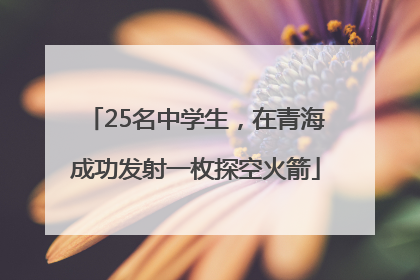 25名中学生，在青海成功发射一枚探空火箭