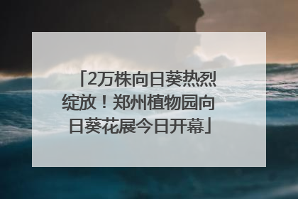 2万株向日葵热烈绽放！郑州植物园向日葵花展今日开幕