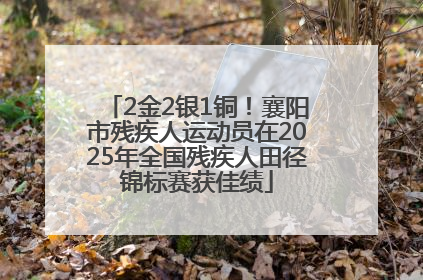 2金2银1铜！襄阳市残疾人运动员在2025年全国残疾人田径锦标赛获佳绩