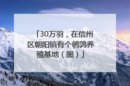 30万羽，在信州区朝阳镇有个鹌鹑养殖基地（图）