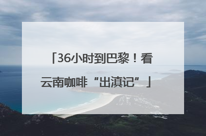 36小时到巴黎！看云南咖啡“出滇记”
