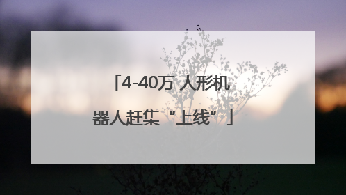 4-40万 人形机器人赶集“上线”
