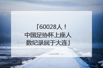 60028人！中国足协杯上座人数纪录属于大连