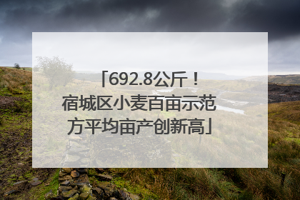 692.8公斤！宿城区小麦百亩示范方平均亩产创新高