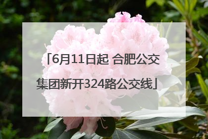 6月11日起 合肥公交集团新开324路公交线