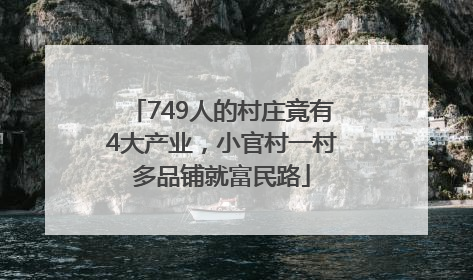 749人的村庄竟有4大产业，小官村一村多品铺就富民路