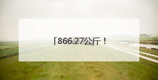 866.27公斤！河北小麦亩产创新高