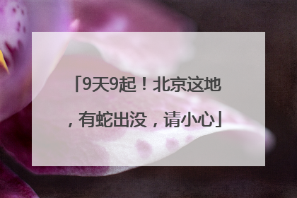 9天9起！北京这地，有蛇出没，请小心