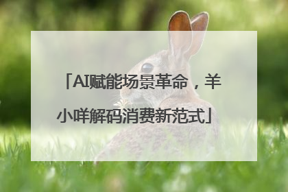 AI赋能场景革命，羊小咩解码消费新范式