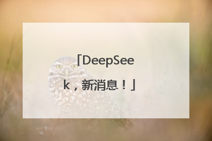DeepSeek，新消息！