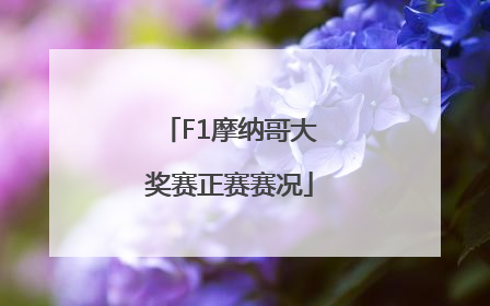 F1摩纳哥大奖赛正赛赛况