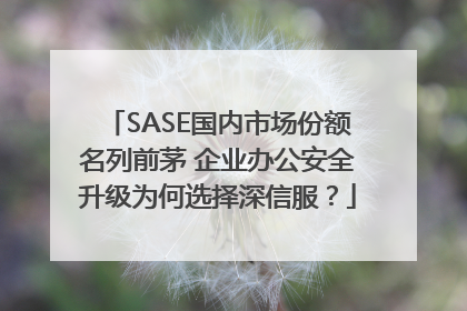 SASE国内市场份额名列前茅 企业办公安全升级为何选择深信服？